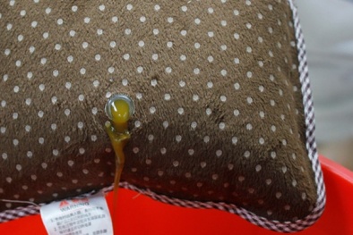 Bên trong túi sưởi Trung Quốc có gì?